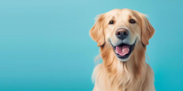 Happy Doo-Be-Gone pup